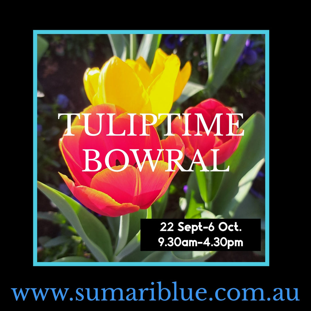WE WILL BE AT TULIP TIME 2025 - AGAIN!