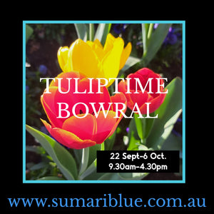 WE WILL BE AT TULIP TIME 2025 - AGAIN!