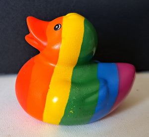 Rainbow Duck