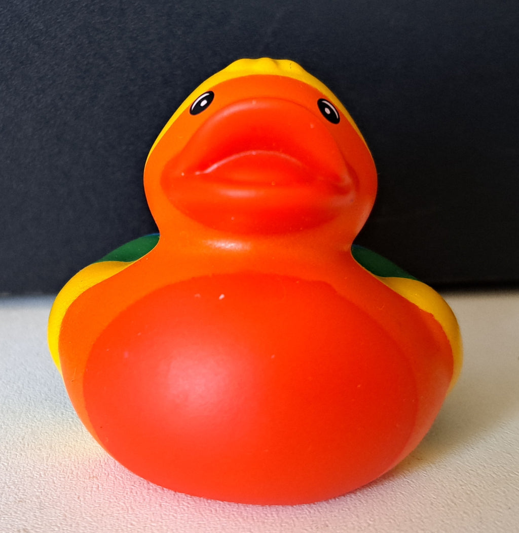 Rainbow Duck