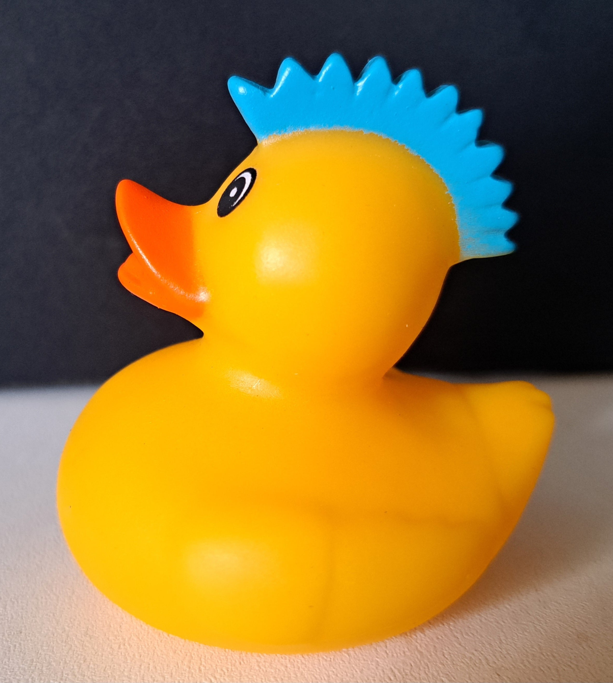 Punk Duck