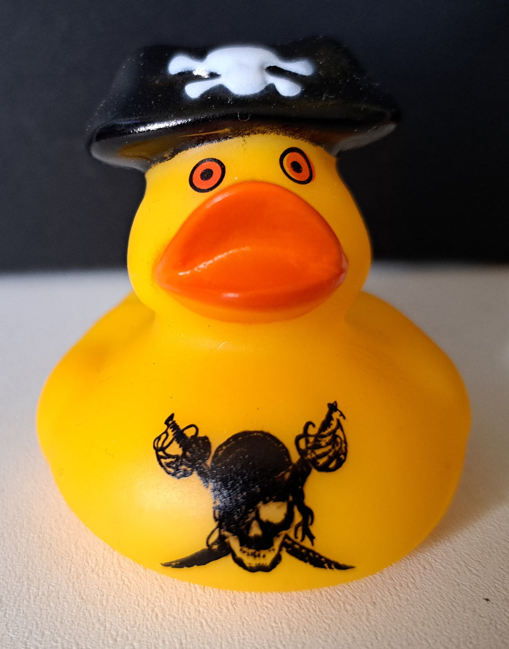 Pirate Duck