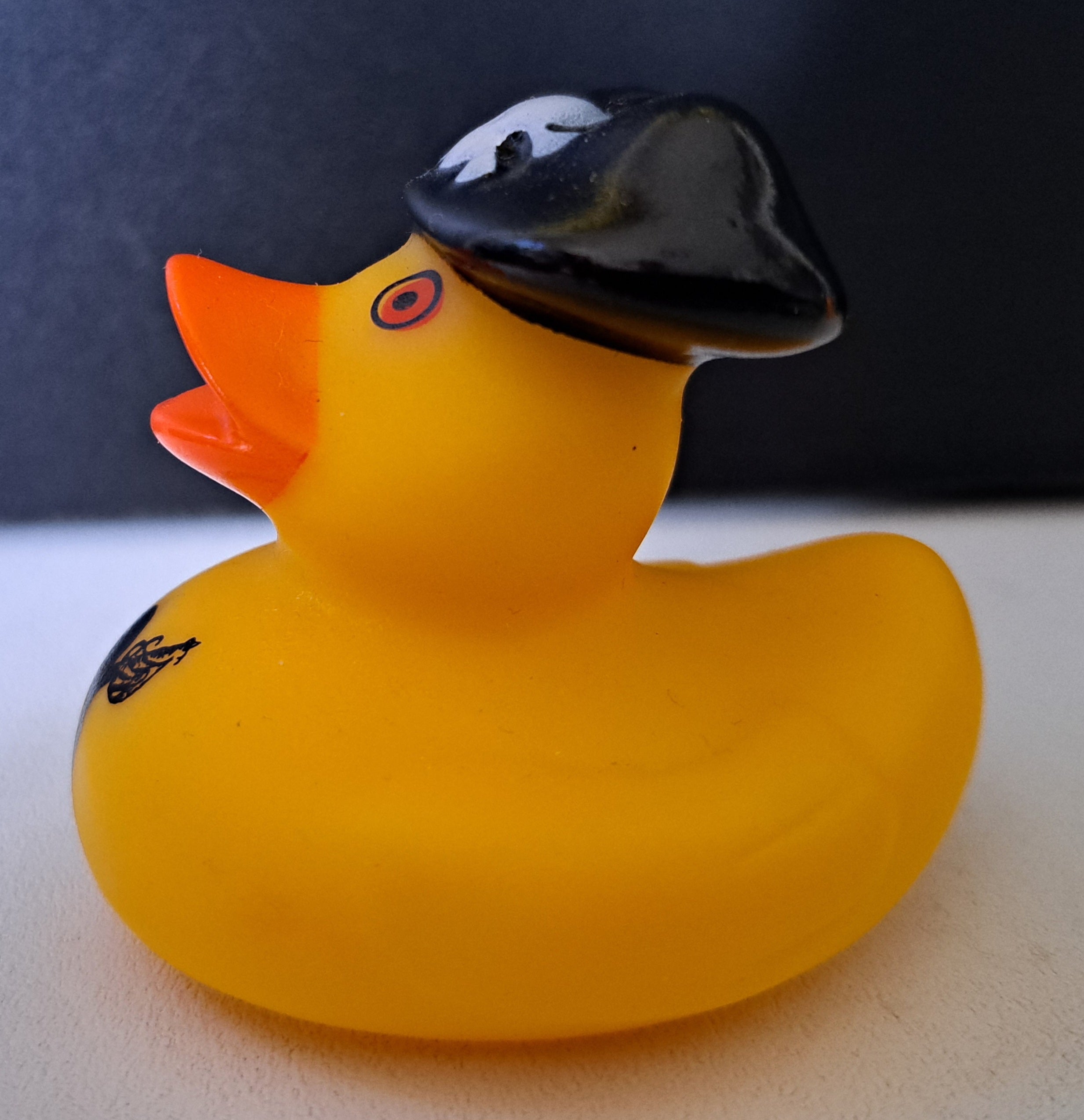 Pirate Duck