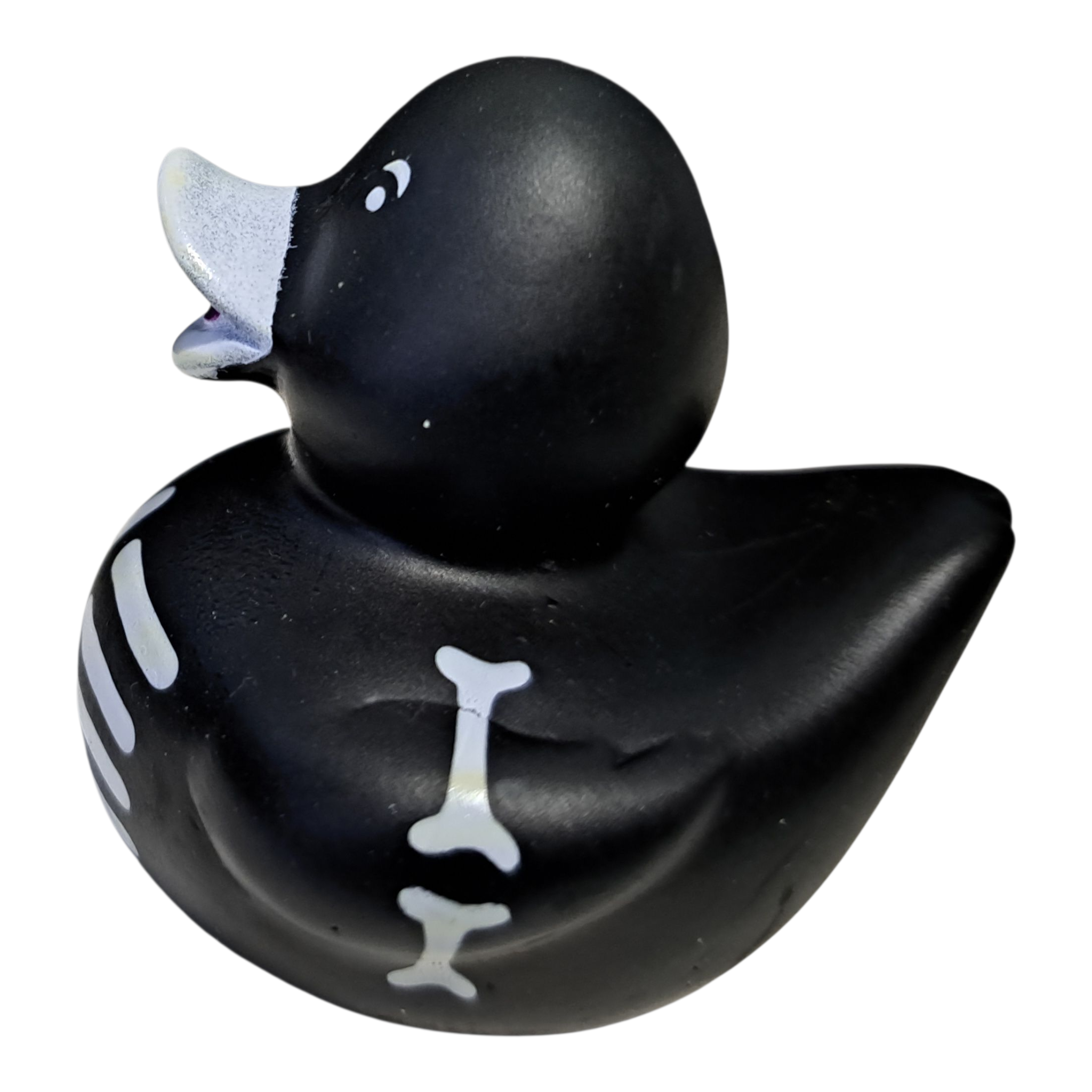Skeleton Duck