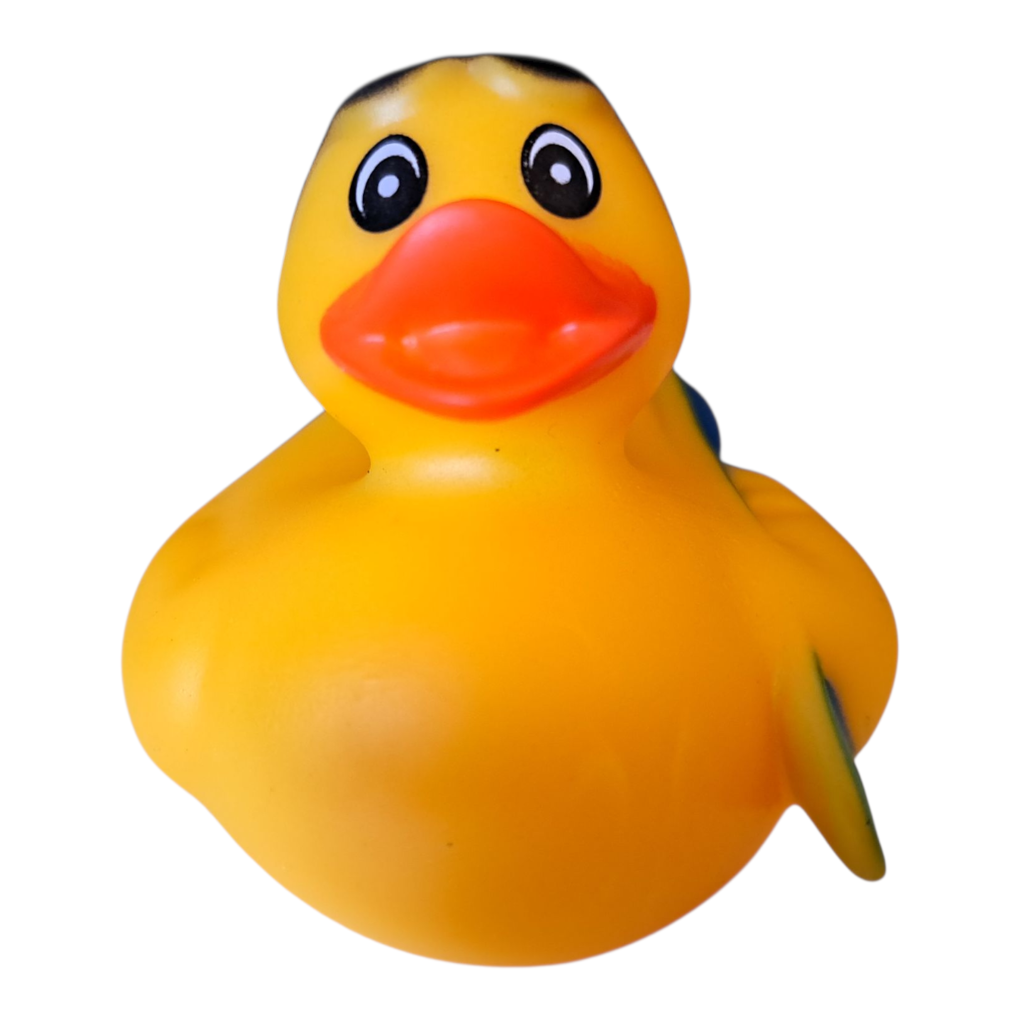 Surfer Dude Duck
