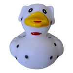 Dalmation Duck