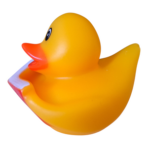 Book Reading Duck