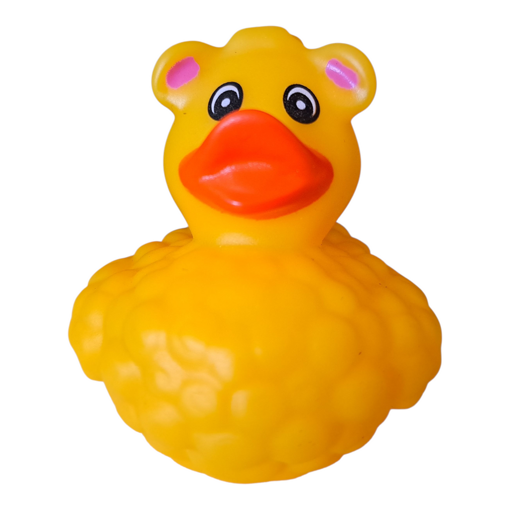 Sheep Duck