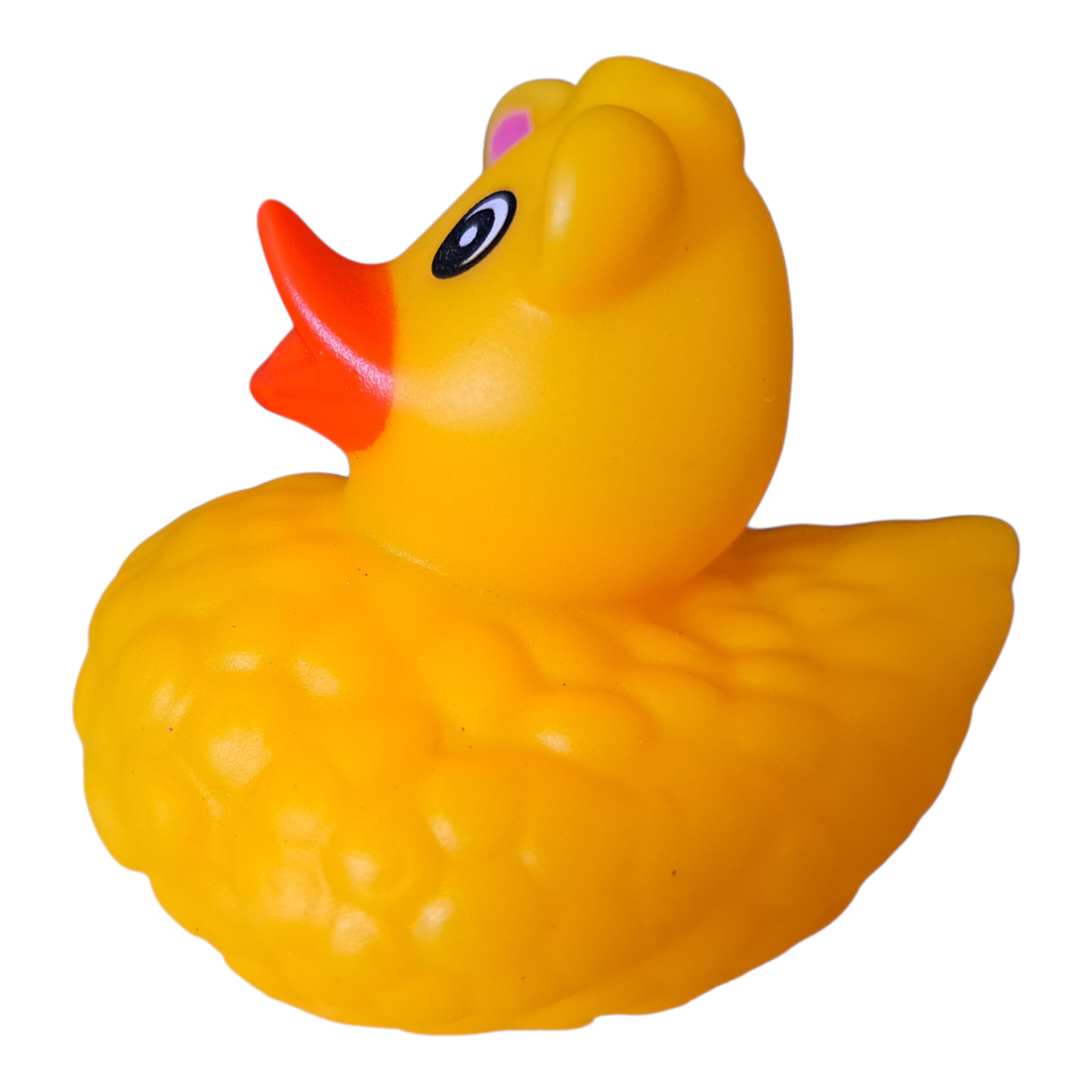 Sheep Duck