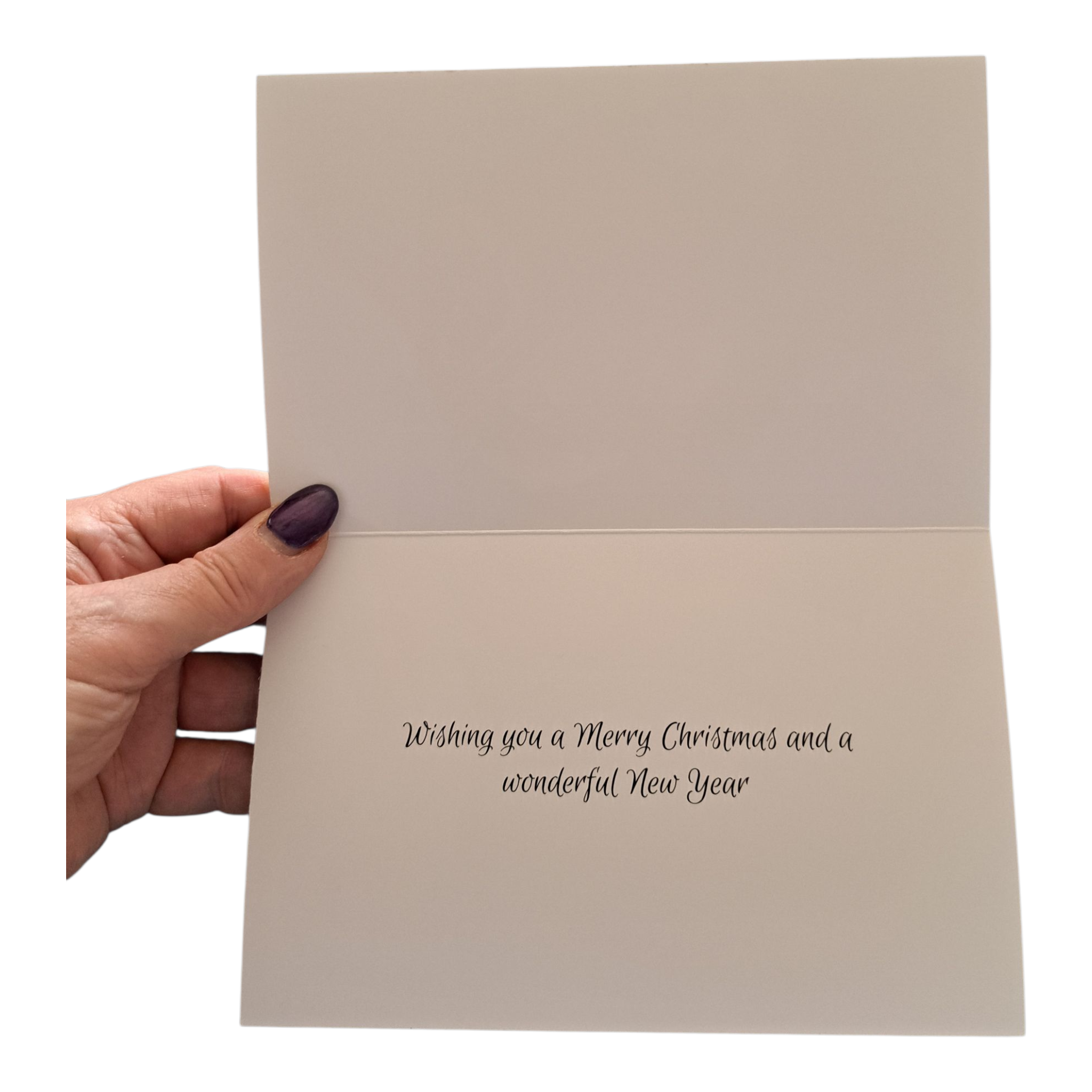 'The Christmas Animal' series Christmas Cards