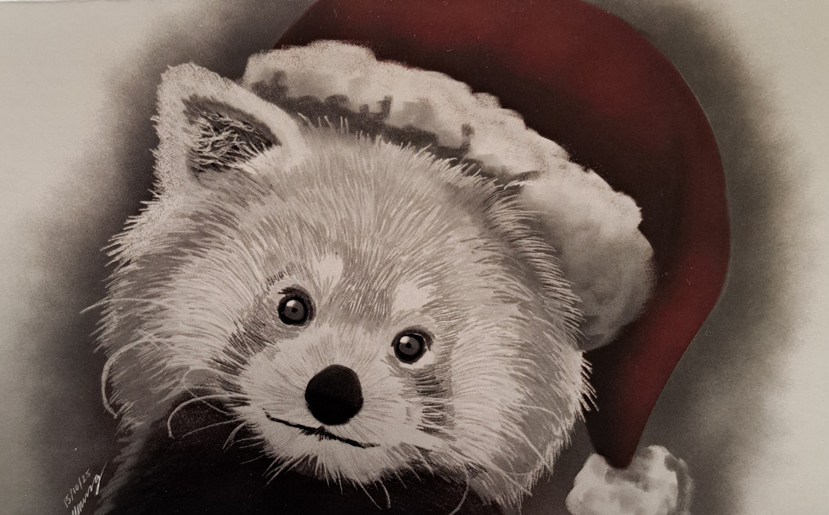 'The Christmas Animal' series Christmas Cards