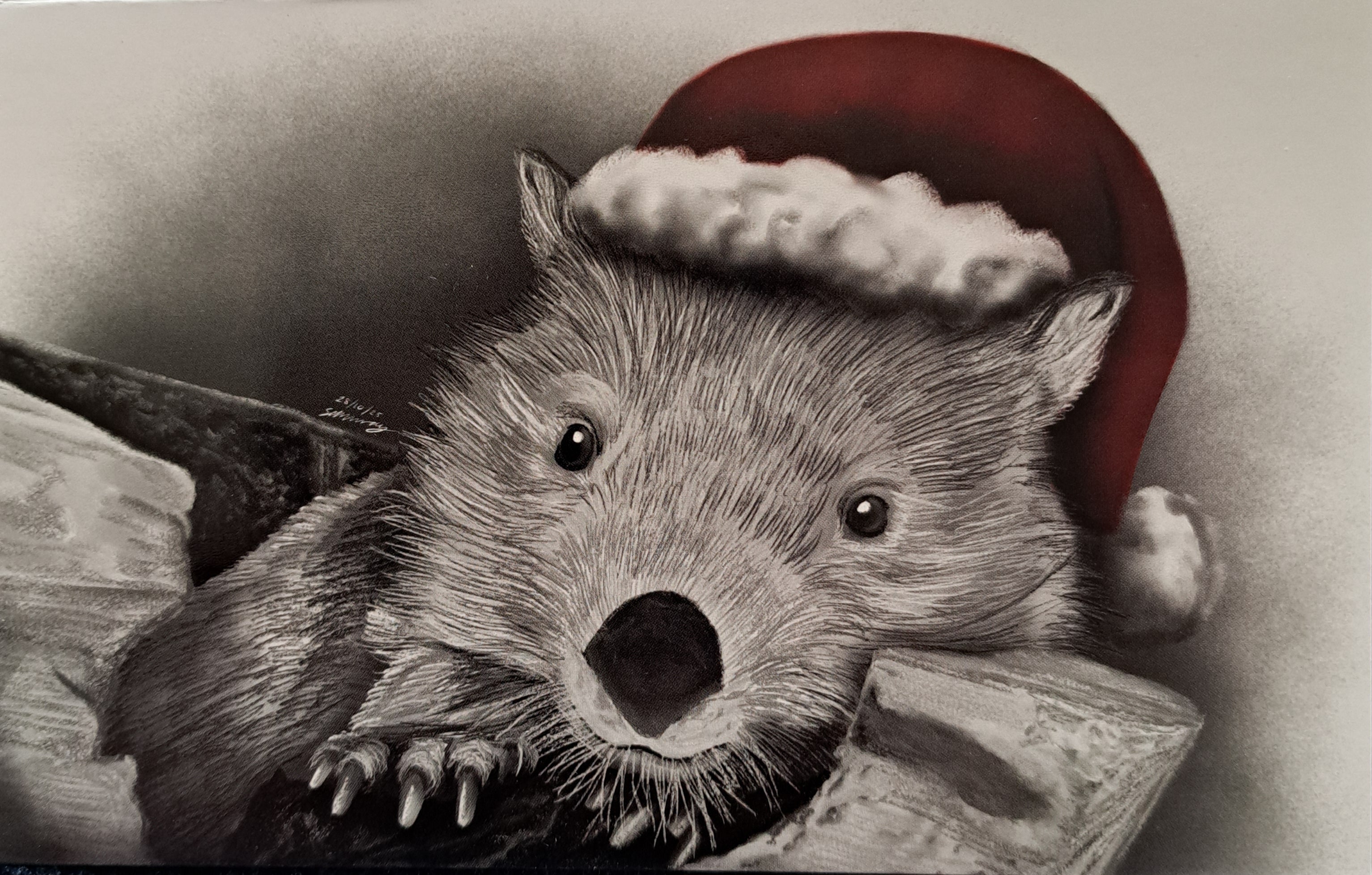 'The Christmas Animal' series Christmas Cards