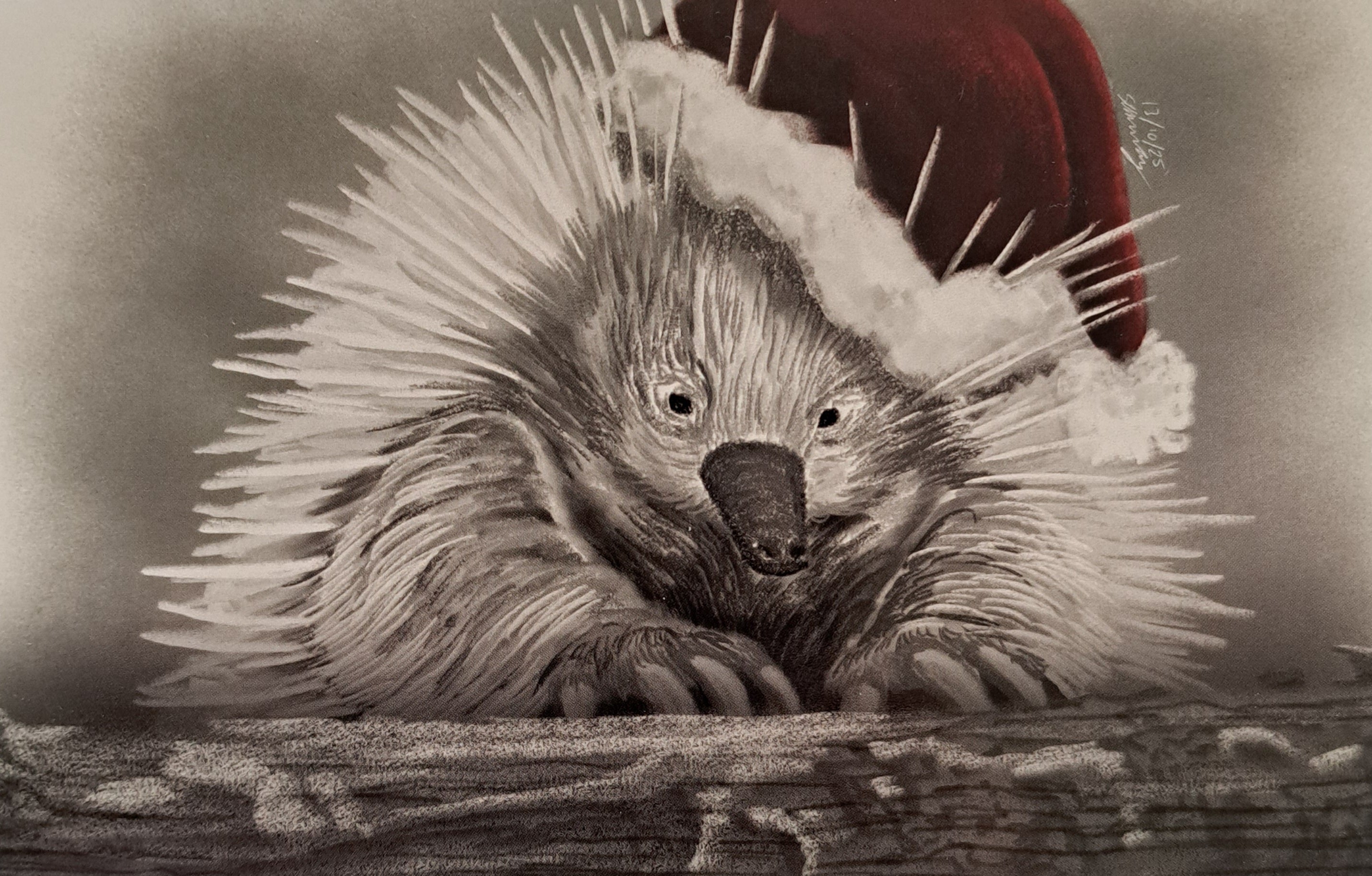 'The Christmas Animal' series Christmas Cards