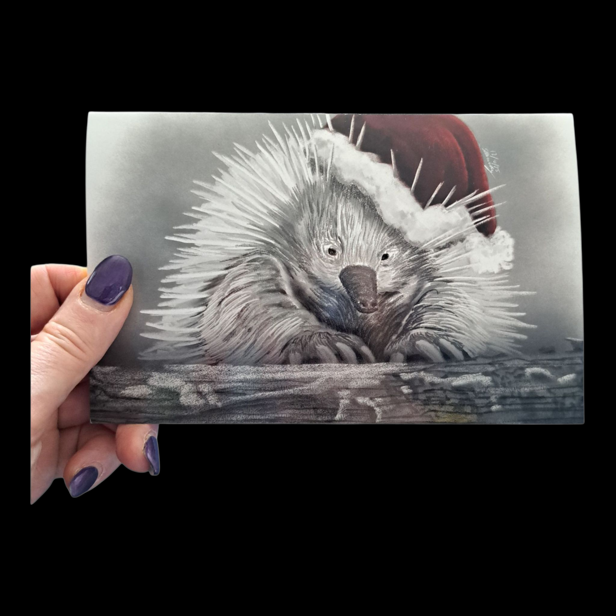 'The Christmas Animal' series Christmas Cards